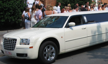 Untitled design (74)